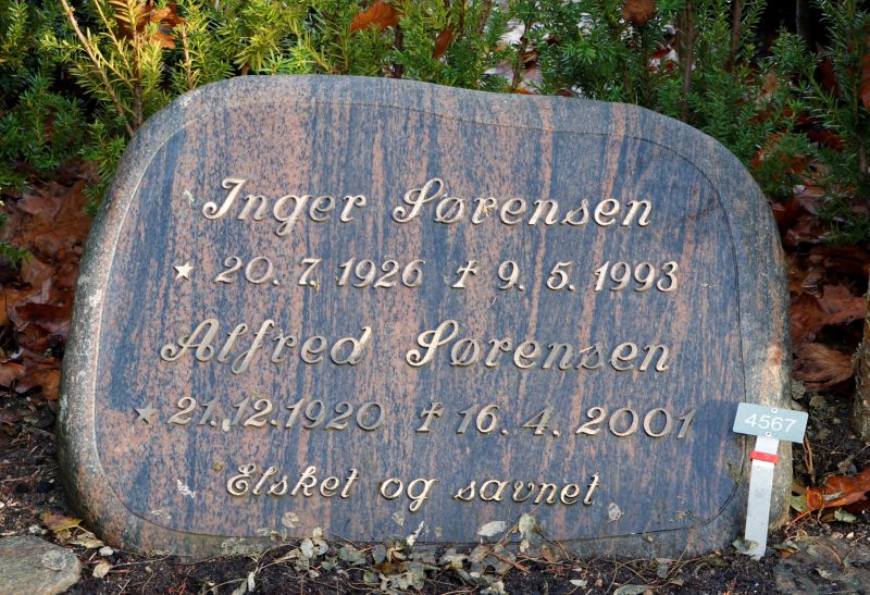 Alfred Soerensen.JPG